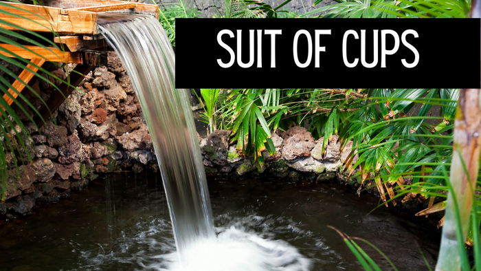 The Suit of Cups