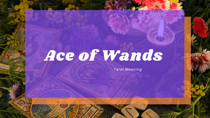 Ace of Wands Meaning